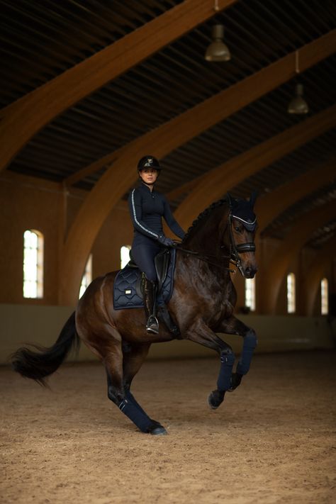 Piaffe Dressage, Dressage Horses Photography, Rich Equestrian Aesthetic, Horse Riding Competition, Dressage Aesthetic, Dressage Photography, English Horse Riding, Rich Equestrian, English Horses