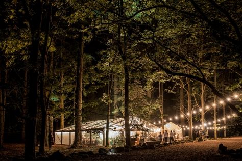 Amy & Michael’s Tasmanian Forest Wedding Forest Wedding Ceremony, Outdoor Tent Wedding, Forest Wedding Venue, Campground Wedding, Twilight Wedding, Forest Theme Wedding, Backyard Reception, Tuscan Countryside, Camp Wedding