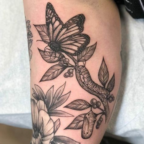 What To Add To A Butterfly Tattoo, Phases Of Butterfly Tattoo, Evolving Butterfly Tattoo, Butterfly Tattoo Add On, Butterfly Below Knee Tattoo, Catapillar To Butterfly Tattoo, Metamorphosis Butterfly Tattoo, Butterfly Caterpillar Tattoo, Butterfly Filler Tattoo