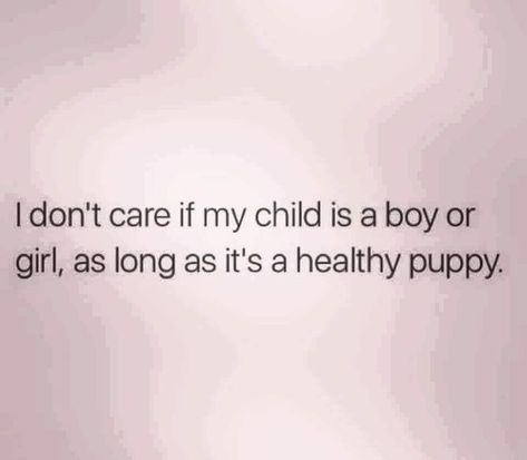 Funny Dog Mom Quotes, Animal Lover Quotes, Dog Mom Quotes, Crazy Dog Lady, Lovers Quotes, Dog Lady, Crazy Dog, I Don't Care, Dog Quotes