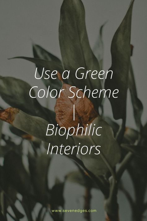 Green is the most natural color you can use. 
A biophilic home design favors green over any other color, so either accessorize your space with plants or paint a room a soothing sage. Biophilic Design Architecture, Biophilic Design Interiors, Biophilic Home, Interior Design Basics, Green Color Scheme, Biophilic Design, Green Color Schemes, Design Basics, Room Paint