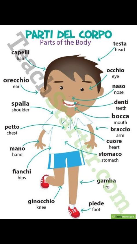 Italian Beginners, Italian Worksheets, Language Poster, Italian Courses, Basic Italian, Learn To Speak Italian, Italian Grammar, Italian Vocabulary, English Teaching Resources