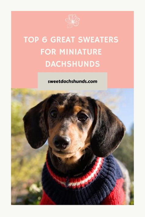 Mini Dachshund Clothes, Dachshund Dog Sweaters, Sweaters For Dogs, Dog Poncho, Dachshund Sweater, Dachshund Clothes, Fleece Dog Coat, Miniature Dachshunds, Dog Winter Coat