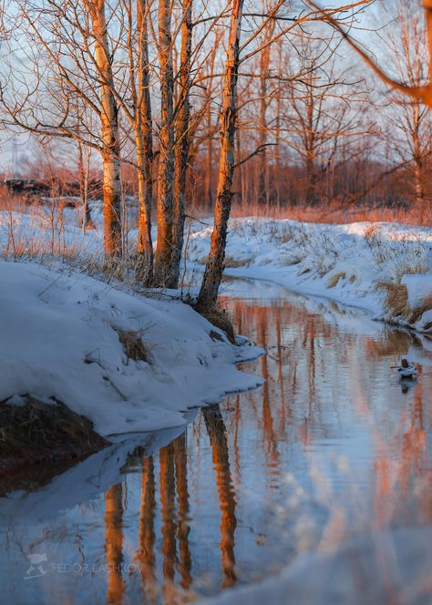 Winter Photography Nature, Winter Landscape Photography, Scenery Pictures, Boat Painting, Winter Painting, Winter Scenery, Landscape Artwork, Snow Scenes, Winter Art