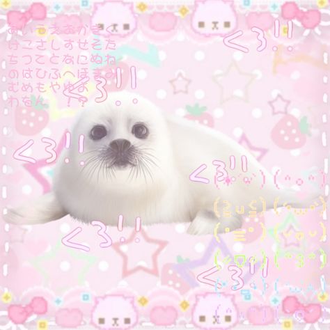 Seal Kawaii, Kawaiicore Edit, Seals Cute, Seal Icon, Kawaii Seal, Cutecore Edit, Kawaii Edit, Cute Seals, Seal Pup