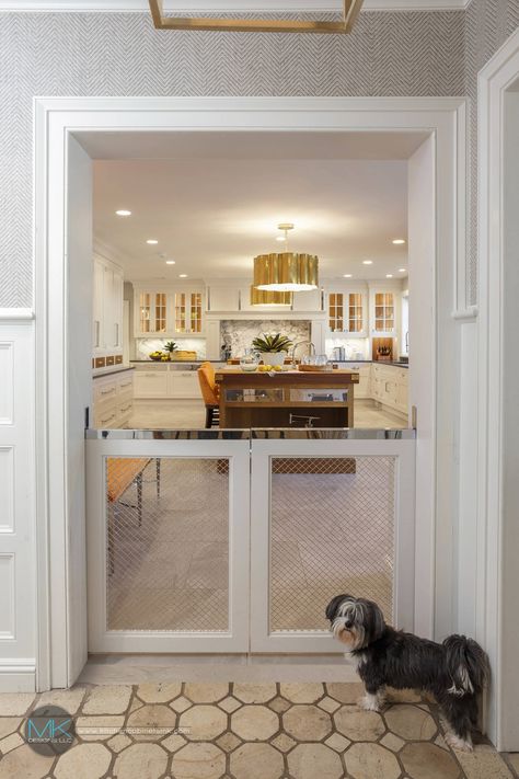 Shaker Transitional Kitchen & More Morristown, NJ - Transitional - Kitchen - Philadelphia - by MK Designs LLC | Houzz Traditional Farmhouse Decor, Farmhouse Design Ideas, Modern Farmhouse Decor Ideas, Dog Gates, First Apartment Decorating, Farmhouse Remodel, Dog Room, Dog Gate, Dog Rooms