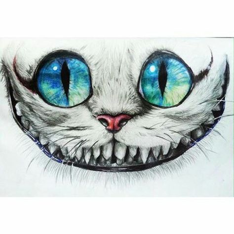 Cheshire Cat Drawing, Gatto Del Cheshire, Tattoo Gato, Cheshire Cat Tattoo, Alice And Wonderland Tattoos, Alice In Wonderland Drawings, Wonderland Tattoo, Drawing Eyes, Cheshire Cat