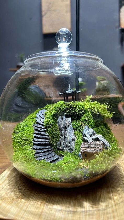 Plant Terrarium, Micro Landscape, Landscape Projects, Miniature Garden, The Nature, The Glass, A Name, Fairy Garden, Terrarium