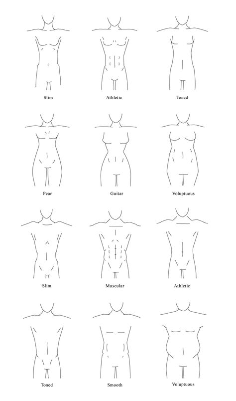 How to Draw Different Body Types for Males and Females Drawing Reference Poses With Guidelines, How To Draw Male Body Types, Drawing Body Guidelines, Male Vs Female Drawing, Basic Female Anatomy Drawing, How To Draw Body Guidelines, Realistic Body Types Drawing, Male Torso Reference Anatomy, Female Body Types Drawing Reference