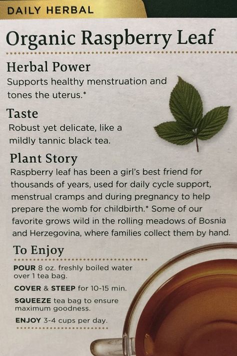 Rasberry Red Leaf Tea Benefits, Raspberry Leaf Tea Benefits, Raspberry Leaf Tea Pregnancy, Red Raspberry Leaf Tea, Herbs Medicine, Tea Blends Recipes, Easy Labor, Herbal Tea Benefits, Raspberry Leaf Tea