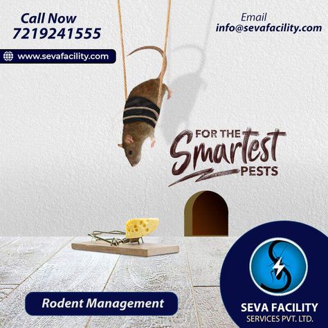 Protect your family from Rodents... Best Rodents Control Services at Seva Facility Service Head Office is at #Pune, Maharashtra, India. Contact us on 7219241555 info@sevafacility.com http://www.sevafacility.com/ #Rodent #control Pest Control Creative Ads, Graphic Design Cv, Pune Maharashtra, Pest Prevention, Rodent Control, Design Cv, Pest Management, Pest Control Services, Golden Sun