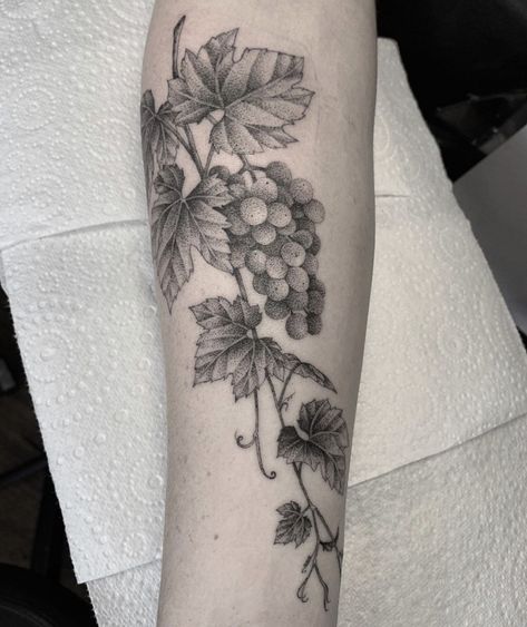 Wine Vine Tattoo, Grape Vines Tattoo, Grape Vine Tattoo Minimalist, Grapevine Tattoos For Women, Grape Tattoo Vines, Grape Leaf Tattoo, Wine Grape Tattoo, Wine Grapes Tattoo, Vine With Fruit Tattoo