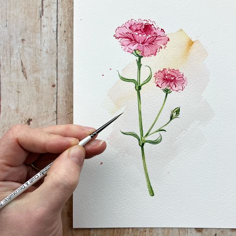 Loose Watercolor Flowers, Carnation Flowers, Diy Watercolor Painting, Loose Watercolor, Carnation Flower, Watercolor Artists, Watercolor Paintings Tutorials, Diy Watercolor, Easy Watercolor