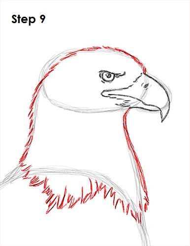 Drawing An Eagle, Egal Drawings, Egale Drawing Tattoo, How To Draw An Eagle, Eagle Painting Easy, Eagle Drawing Sketches, Bald Eagle Sketch, Egale Drawing, Bald Eagle Drawing