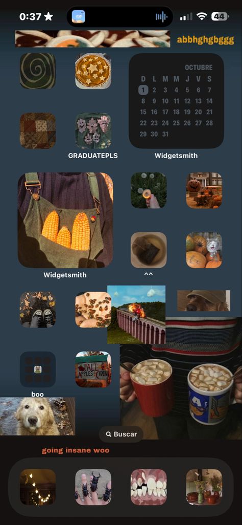 Iphone Lockscreen Layout Ideas, Fall Phone Layout, Fall Apple Cider, Ipad Organizer, Phone Lockscreen, Film Posters Minimalist, Iphone Lockscreen, Apple Ios, App Layout