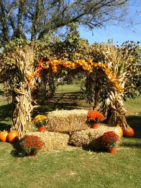 Fall Harvest Photo Backdrop, Subdivision Entrance Fall Decor, Autumn Backdrop Ideas, Fall Photo Op Backdrop, Fall Photo Backdrop Ideas Outdoor, Thanksgiving Outdoor Decorations Yards, Fall Festival Entrance Ideas, Fall Party Photo Backdrop, Pumpkin Festival Ideas