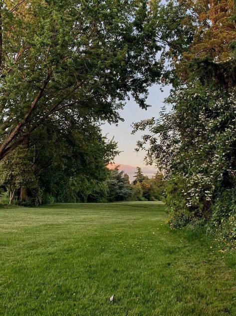 Me As An Place, June Aesthetic, Outdoors Aesthetic, Blueberry Farm, Look Wallpaper, Meteor Garden 2018, Magic Garden, Open Field, June 17