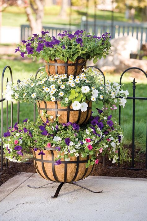 Make a professional-looking, large planter with this rugged, flat-iron cascading 3-tier planter. Includes 3 large planter baskets with coco liners - 14in, 18in, 22in diameter for generous planting capacity. Makes an eye-catching entrance to a patio, home or garden when filled with colorful flowers and cascading vines. Flat iron styling is reminiscent of blacksmith forged steel for a quality, upscale appearance. Use it year-round as a seasonal decoration for spring and summer flowers, fall foliag Cascading Planter, Planter Boxes Flowers, Brick Planter, Tomato Planter, Raised Planter Boxes, Tiered Planter, Tiered Garden, Raised Planter, Basket Planters