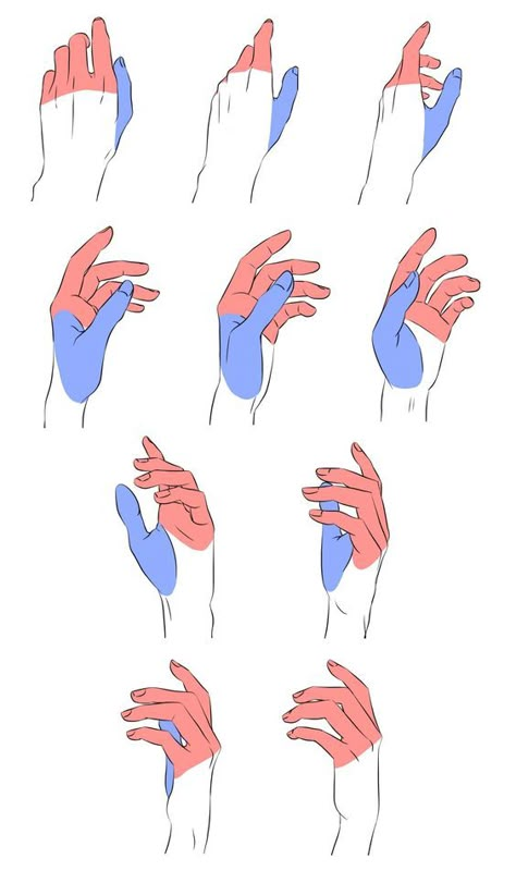 Hand References, Drawing Hands, Hand Gestures, Hand Drawing Reference, Body Reference Drawing, Anatomy References, Hand Reference, Have Inspiration, Anatomy Drawing