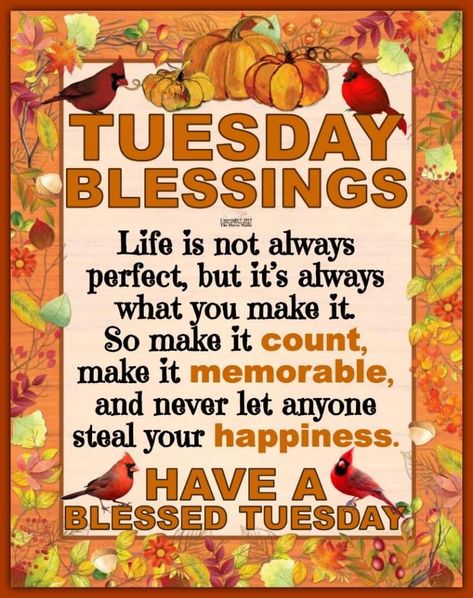 Tuesday Afternoon Blessings, Quotes For Tuesday, Tuesday Motivation Quotes, Blessed Tuesday, Afternoon Blessings, Natural Life Quotes, Weekly Blessings, Tuesday Quotes Good Morning, Tuesday Greetings