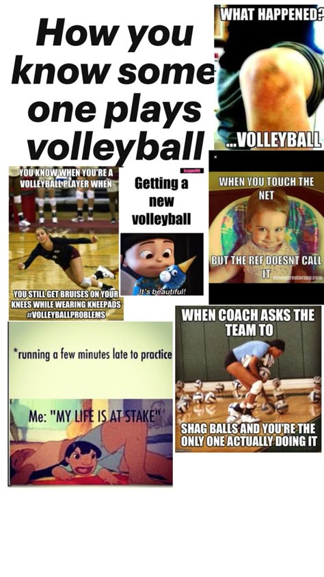 Volleyball Team Quotes, Volleyball Facts, Inspirational Volleyball Quotes, Volleyball Quotes Funny, Volleyball Jokes, Soccer Problems, Volleyball Gifs, Volleyball Problems, Volleyball Memes