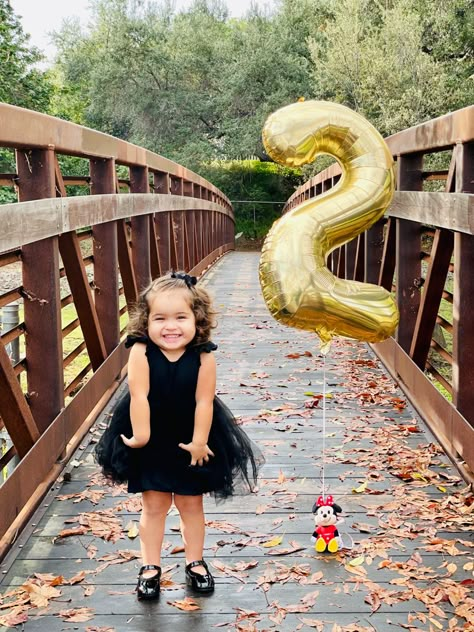 2 Year Birthday Photoshoot Ideas, Photoshoot Ideas 2nd Birthday, 2birthday Photoshoot, Photoshoot 2nd Birthday, 2 Year Birthday Pictures Photo Shoot, Toddler 2nd Birthday Photoshoot, Turning 2 Photoshoot, 2 Year Bday Photo Shoot, Second Birthday Photoshoot