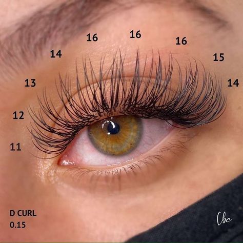 🏆 Luxury Lashes Manufacturer on Instagram: “Thank you so much for all the love on my last post! Here’s the lash map I used ❤️❤️❤️ fabulous work from @lashedbychanelle ❤️ Thank you…” Eyelash Extensions Classic, Natural Fake Eyelashes, Lash Extentions, Lashes Fake Eyelashes, Eyelash Tips, Eyelash Technician, Eyelash Extensions Styles, Lash Extensions Styles, Perfect Eyelashes