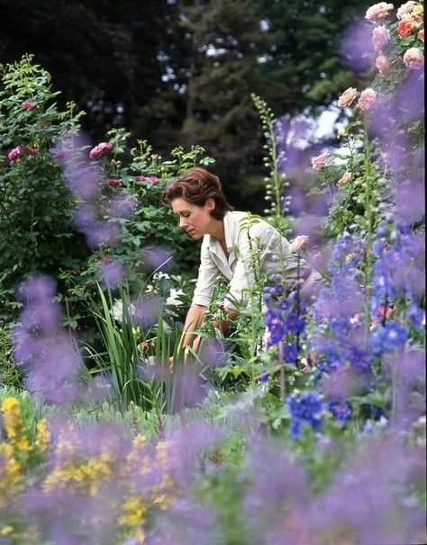 Roses and foxgloves frame Roehm as she works in the garden. Carolyn Roehm, Carolyne Roehm, Lemon Thyme, Garden Path, Gorgeous Gardens, Best Garden, Delphinium, Country Gardening, Flower Farm