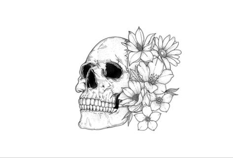 Skull Fine Line Tattoo, Skull Sketch, Fine Line Tattoo, Line Tattoo, Fine Line Tattoos, Line Tattoos, Fine Line, Skull Tattoo, Sketch