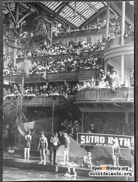 Many great vintage photos of San Francisco's play areas in the early 20th century Cliff House San Francisco, Sutro Baths San Francisco, Steampunk Elements, San Francisco Zoo, Beach Chalet, Sutro Baths, Visit San Francisco, Cliff House, California History