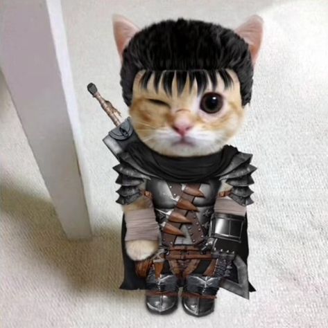 Berserk Pfp, Twitter For Iphone, Cat Gym, Images Hello Kitty, Anime Kitten, 8bit Art, Crazy Wallpaper, Silly Cats Pictures, Cute Cats Photos