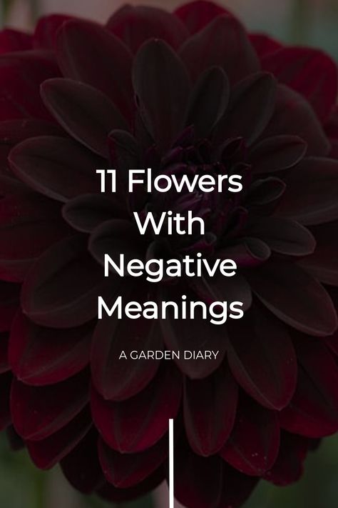 Discover the fascinating backstories of 11 flowers associated with negative meanings. Gain unexpected knowledge that may alter your perspective on traditional floral symbolism. Explore the hidden histories and symbolism behind each bloom to deepen your appreciation for their nuanced significance. Dive into a world where flowers convey deeper emotions and messages than meets the eye, shedding light on cultural interpretations that may surprise you. Flowers And Their Meanings, Dark Meaning, October Flowers, Garden Diary, Flower Meanings, Christian Symbols, Romantic Gestures, Red Tulips, Positive Emotions