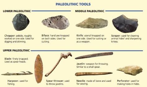 Early Humans Tools, Paleolithic Age, Ancient Artifacts Prehistoric, Stone Age Tools, Native American Tools, Prehistoric Man, Arrowheads Artifacts, Flint Knapping, India Images