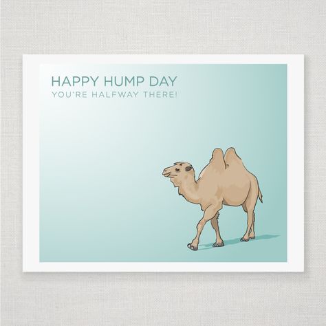 In a short week, does Thursday become the hump day? Definitely feels like it! Can't wait for the weekend! @teachmy Camels Illustration, Muse Quotes, Camels Art, Dental Fun, Teal And Brown, Halfway There, Happy Wishes, Happy Hump Day, Ikea Frames