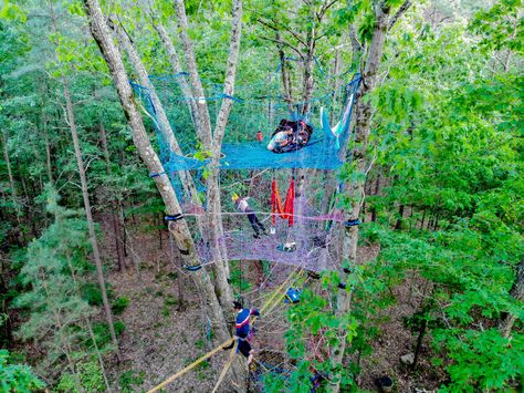 Paracord Tree Net, Tree Net, Trampoline Pad, Hickory Tree, Playground Structures, Spiral Tree, Hollow Tree, Poplar Tree, Level 8