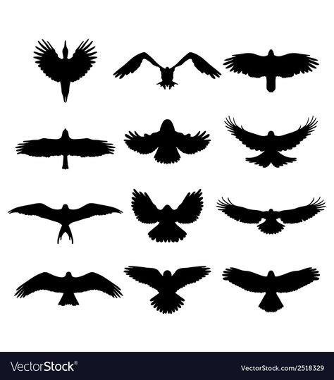 Bird Top View, Flying Bird Silhouette, Shading Drawing, Bird Silhouette, Tat Ideas, Black Silhouette, Tattoos Ideas, Birds Flying, In Flight