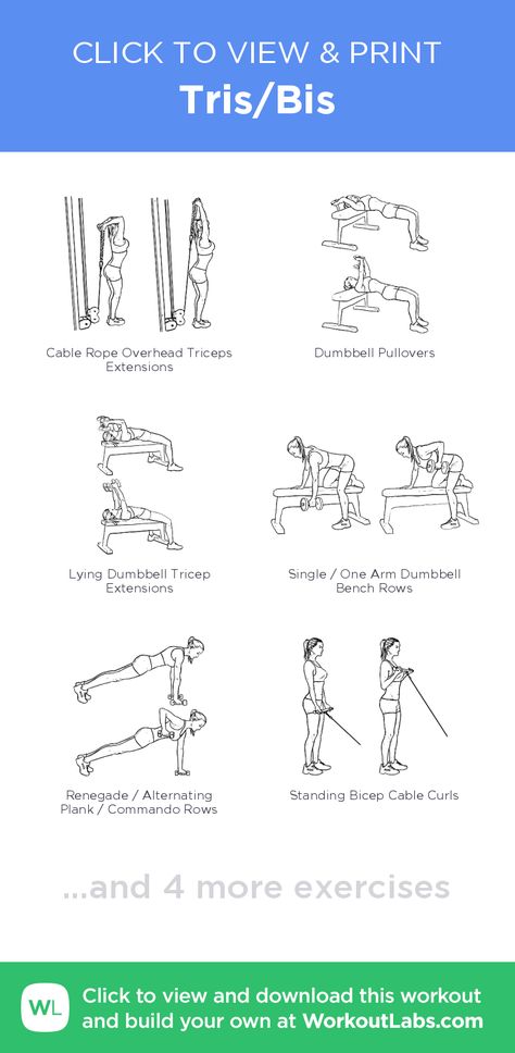 Tris/Bis – click to view and print this illustrated exercise plan created with #WorkoutLabsFit Tris Workout, Bis Workout, Workout Labs, Exercise Plan, Free Workout, Family Fitness, Free Workouts, Fitness Training, Fit Life