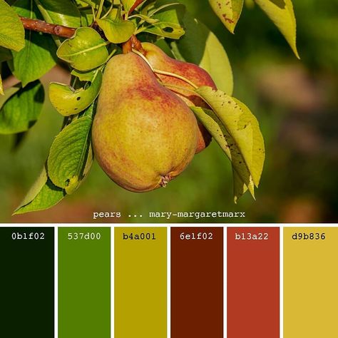 Palletes Colors, Fruit Wallpaper Pattern, Harmonious Colours, Gold Fruit, Vegetables Photography, Fruit Logo, Palette Inspiration, Fruit Wallpaper, New Fruit