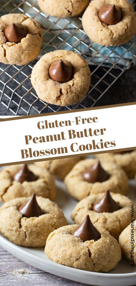 Soft, sweet homemade gluten free peanut butter blossoms cookies are the perfect cookie to make all year round. These cookies melt in your mouth with every bite! If you are looking for the perfect combination of peanut butter and chocolate, you need to try this delicious cookie recipe. Peanut Butter Blossoms Gluten Free, Gluten-free Peanut Butter Blossom Cookies, Gluten Free Peanut Butter Cookies With Hershey Kiss, Gluten Free Peanut Blossoms, Gluten Free Peanut Butter Fudge, Gluten Free Cookies Easy 3 Ingredients, Gluten Free Peanut Butter Blossoms, Gluten Free Peanut Butter Balls, Gfdf Recipes