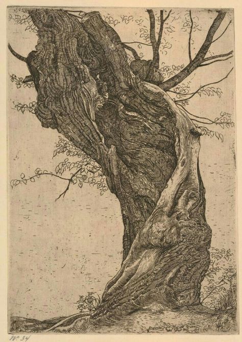 Two Flowers, Tree Sketches, Etching Prints, Neutral Background, Old Tree, Old Trees, Art Pastel, Landscape Drawings, Tree Drawing