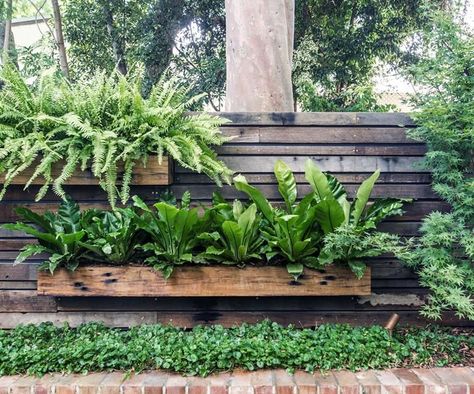 Fernery Ideas, Vertical Garden Design, Vertical Vegetable Garden, Vertical Herb Garden, Vertical Garden Diy, Garden Vines, Potager Garden, Small Backyard Gardens, Garden Design Ideas