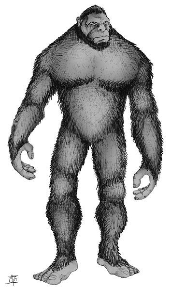 List Of Cryptids, Real Bigfoot, Pie Grande, Bigfoot Art, Bigfoot Sightings, Unexplained Mysteries, Bigfoot Sasquatch, Planet Of The Apes, John Wayne