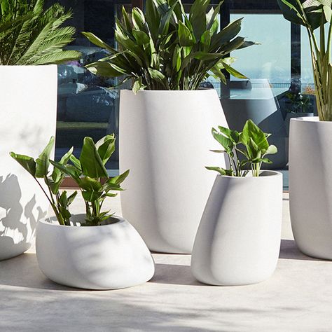 Outdoor Planters by Vondom The Stone Series, designed by Stefano Giovannoni, captivates with its organic shapes that appear to be found in nature itself. The Stone Planter Pot exudes a welcoming appeal with its soft, rounded designs. Its nature-inspired design fits seamlessly into both indoor and outdoor settings, making it an ideal choice for residential and commercial spaces alike. Crafted from weather-proof polypropylene, these modern planter pots are 100% recyclable, reflecting Vondom’s commitment to nature. Experience the perfect blend of natural inspiration and modern design with these lawn and patio planters by Vondom. Embrace elegance and durability - shop now! Meet the Designer Stefano Giovannoni, born in La Spezia, is a prominent figure in the design world, currently residing and Outdoor Pots And Planters Inspiration, Mediterranean Backyard Ideas, Modern Indoor Plants, Indoor Garden Design, Pool Planters, Modern Planters Outdoor, Stefano Giovannoni, Commercial Planters, Stone Planter