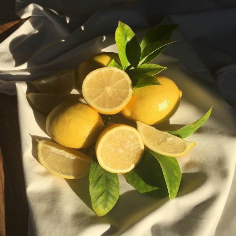 Lemon Fruit Aesthetic, Citron Aesthetic, Limoncello Aesthetic, Lemons Aesthetic, Health Aesthetic Food, Lemon Aesthetic, Health Drawing, Tattoo Bee, Sweets Aesthetic