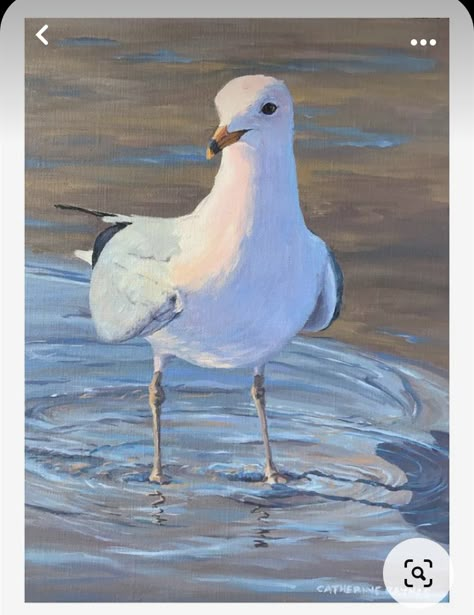 Sea Gulls Painting, Shore Bird Art, Sea Gulls, Shore Birds, Coastal Birds, Painting Birds, Bird Paintings, Shorebirds, Bird Artwork