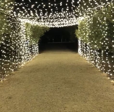 A fairy light tunnel is a great way to make a grand entrance for your event! Light Tunnel Wedding Entrance, Fairy Lights Walkway, Entrance Party Ideas, Fairy Lights Entrance, Light Tunnel Wedding, Christmas Light Tunnel, Fairy Light Tunnel, Entrance Decor Wedding, Light Tunnels