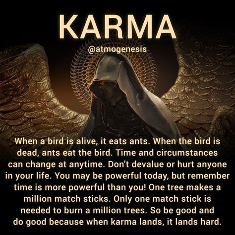 Law Of Cause And Effect, Empath Traits, Star Seed, Spiritual Awakening Quotes, Law Of Karma, Spiritual Psychology, Spiritual Awakening Signs, Life Choices Quotes, Spiritual Warrior