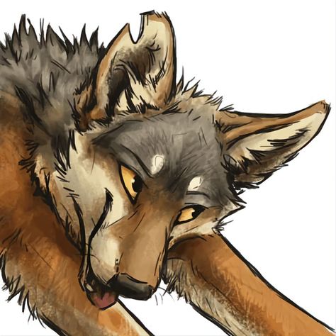 Coyote Drawing, Cute Wolf Drawings, Canine Drawing, Wolf Artwork, Oc Drawings, Wolf Drawing, Canine Art, Wolf Pictures, Pet Fox