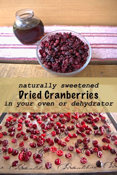 Dehydrate In Oven, Dried Cranberries Recipes, Fresh Cranberry Recipes, Cranberry Recipe, Dried Cranberry, Simple Syrup Cocktails, Autoimmune Paleo Recipes, Sugared Cranberries, Dehydrated Fruit