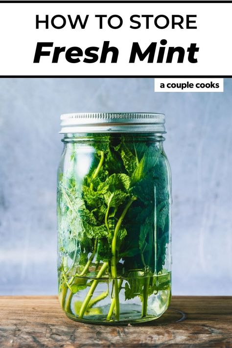 Here's how to store fresh mint so it stays fresh for days! This is the best way to keep herbs from wilting. #mint #howtostoremint #howtostore #Herbs #howtostoreherbs How To Cut Peppers, Mint Recipes Fresh, Store Fresh Herbs, Fresh Mint Tea, Mint Herb, Raspberry Mojito, A Couple Cooks, Vegan Recipes Plant Based, Mint Water